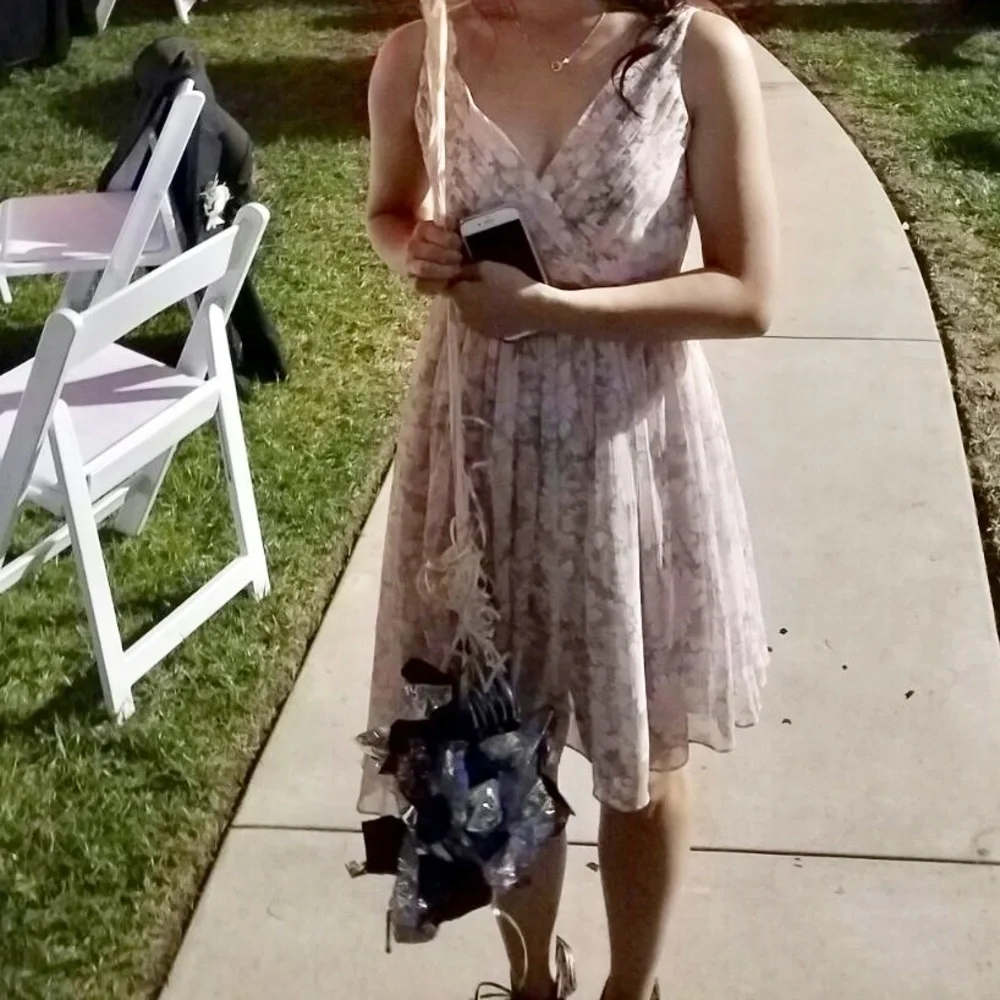 Elizabeth and James Manette Dress